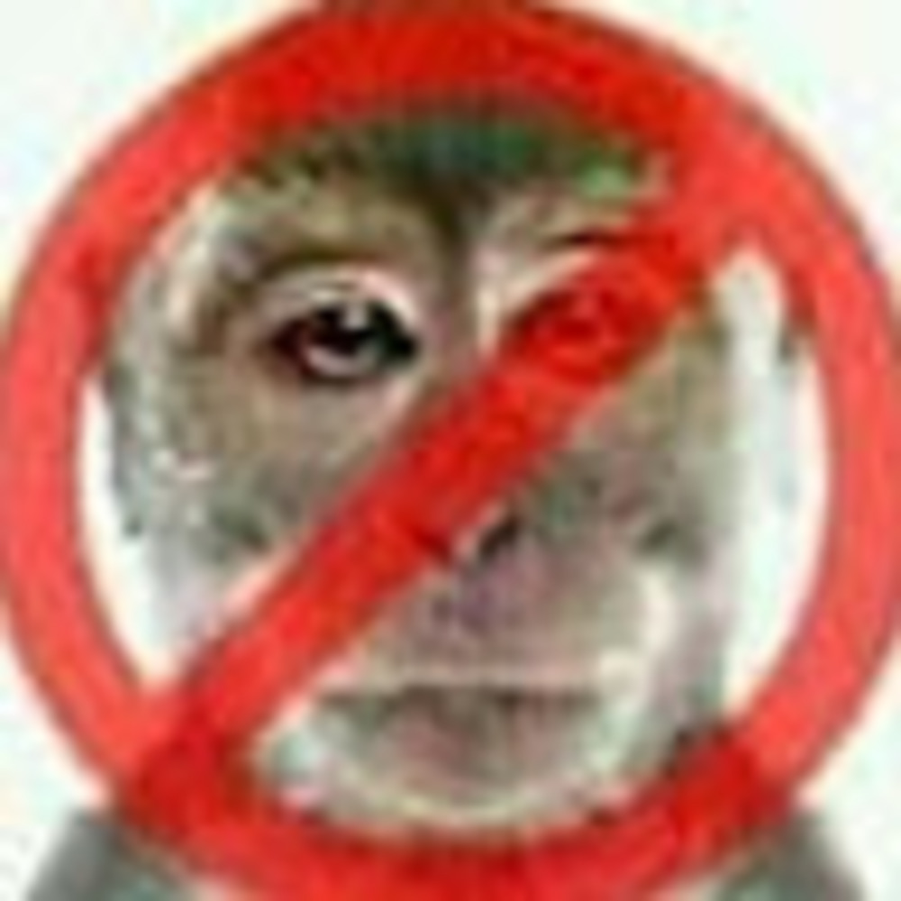 Meet your Posher, Adam